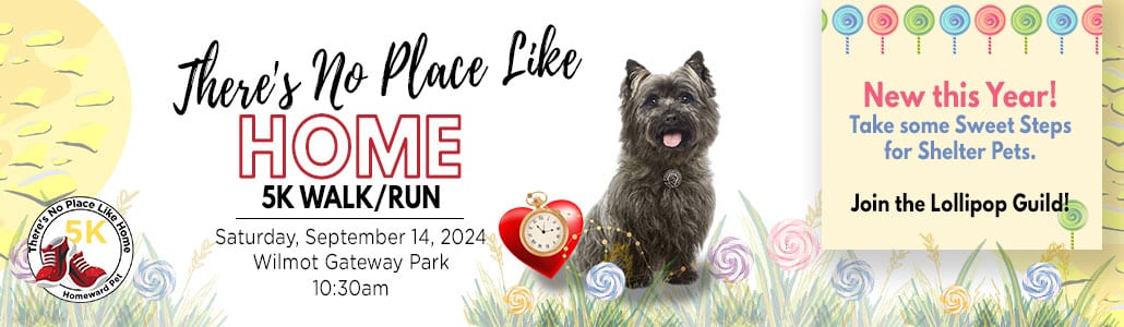 There's No Place Like Home 5k Walk Run