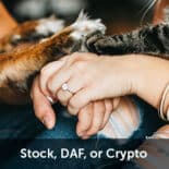 Stock, DAF or Crypto