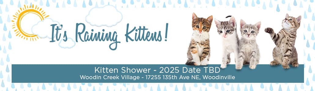 Four kittens and text: It's raining kittens! Kitten Shower April 1 - 11 a.m. - 2 p.m. - Woodin Creek Village - 17255 135th Ave NE, Woodinville, WA 98072